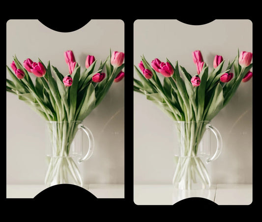 Tulips Cover Cards - The Cover Card