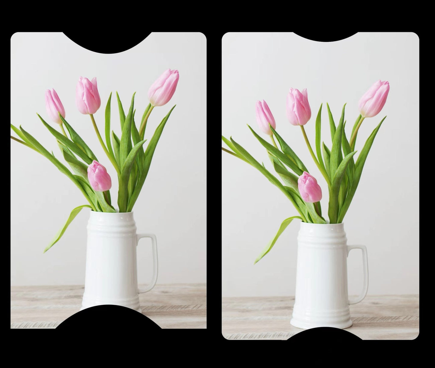 Tulips Cover Cards - The Cover Card