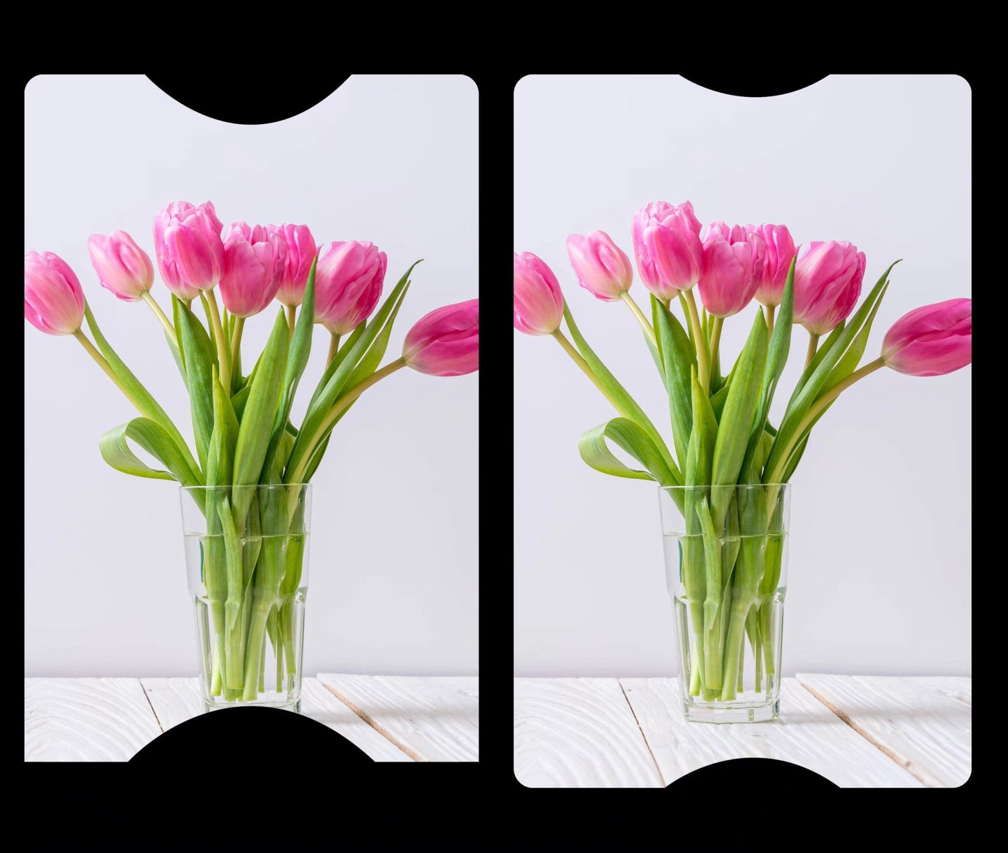 Tulips Cover Cards - The Cover Card