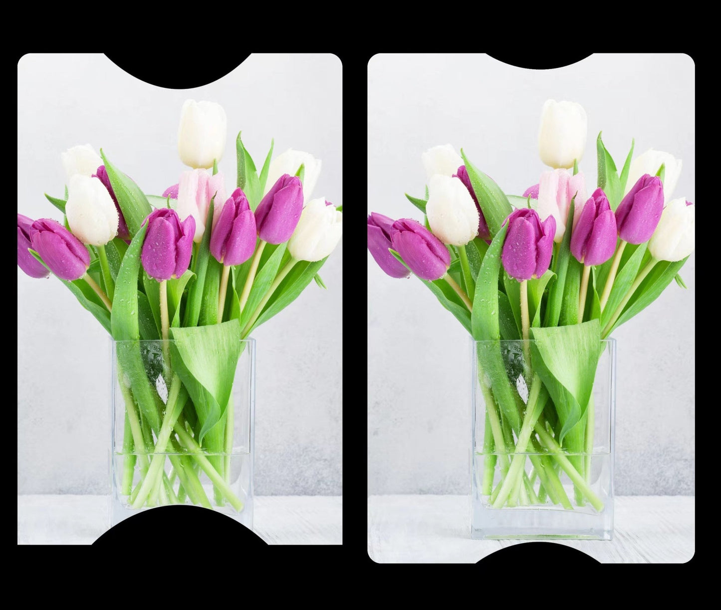 Tulips Cover Cards - The Cover Card